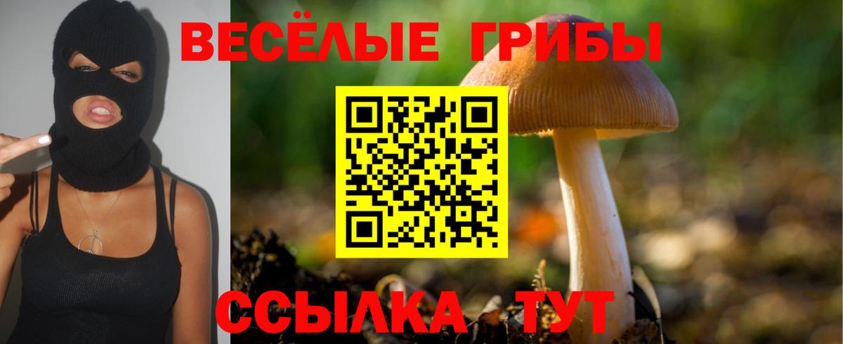 Галлюциногенные грибы мухоморы Десногорск